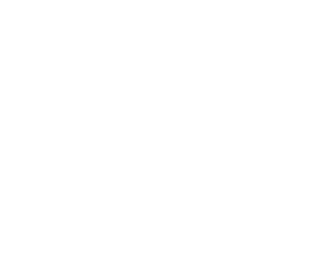 Barish Photography logo